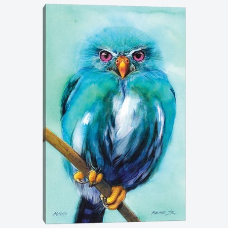 Owl Bird XCV Canvas Print #RJR70} by REME Jr Canvas Art