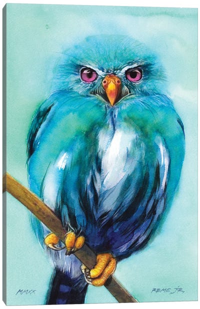 Owl Bird XCV Canvas Art Print - REME Jr