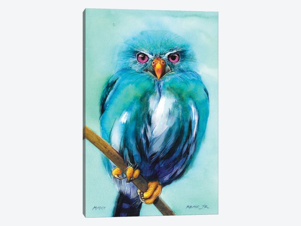 Owl Bird XCV by REME Jr 1-piece Canvas Art Print
