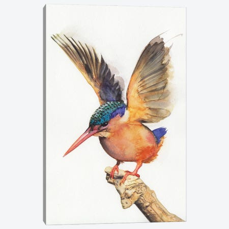 Kingfisher I Canvas Print #RJR71} by REME Jr Canvas Artwork