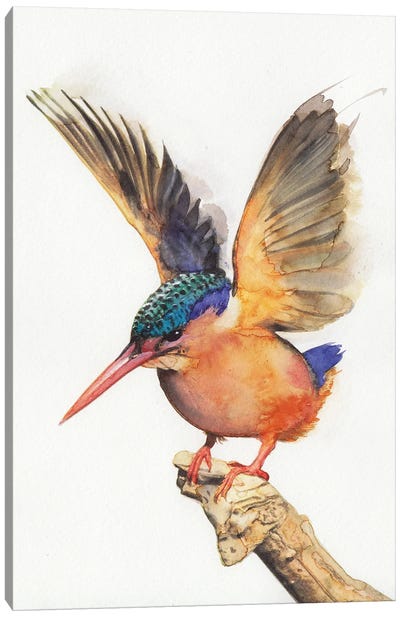 Kingfisher I Canvas Art Print - REME Jr