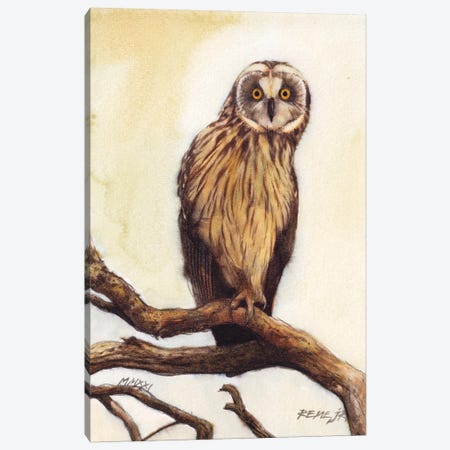 Owl Bird CLVII Canvas Print #RJR72} by REME Jr Canvas Art