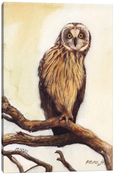Owl Bird CLVII Canvas Art Print - REME Jr