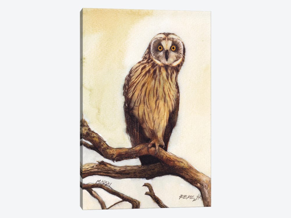 Owl Bird CLVII by REME Jr 1-piece Canvas Art Print