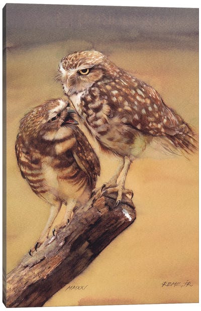 Owls Canvas Art Print - REME Jr