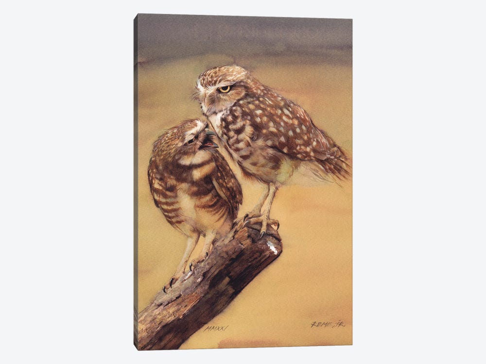 Owls by REME Jr 1-piece Canvas Wall Art