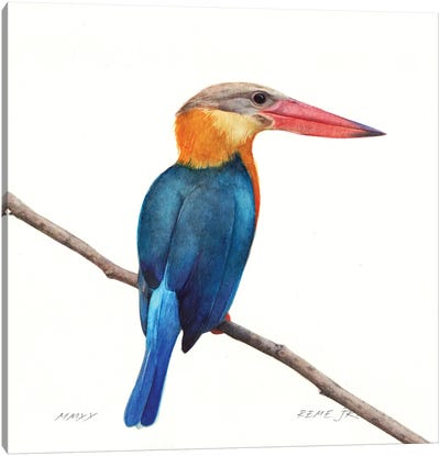 Bird XXXV Canvas Art Print - REME Jr