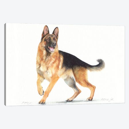 German Shepherd II Canvas Print #RJR78} by REME Jr Canvas Artwork