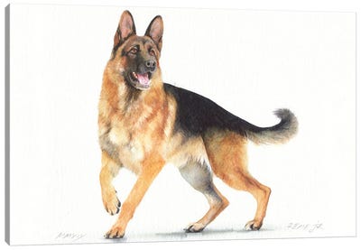 German Shepherd II Canvas Art Print - REME Jr
