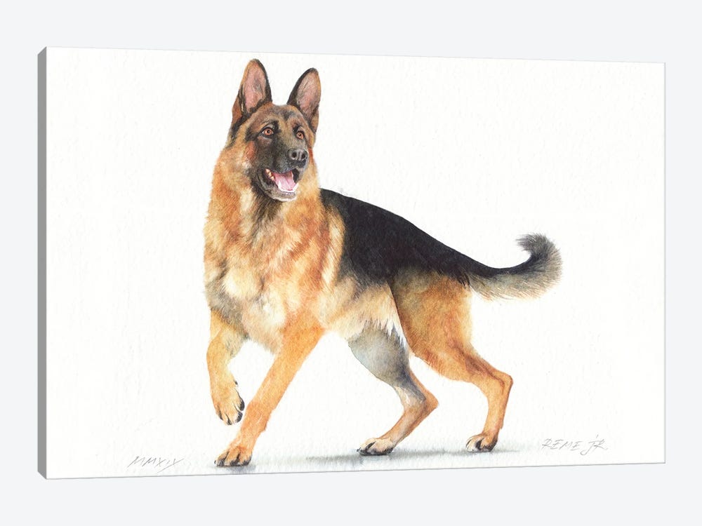 German Shepherd II by REME Jr 1-piece Canvas Print