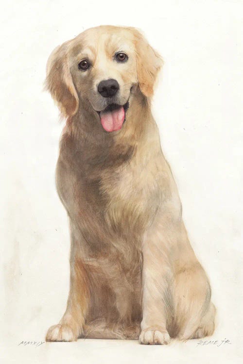 Golden Retriever by REME Jr wall art