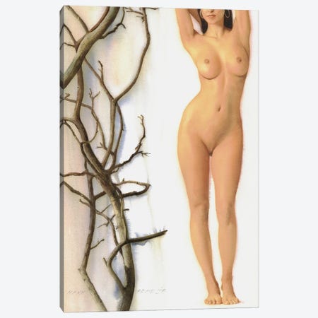 Nude XVI Canvas Print #RJR7} by REME Jr Art Print