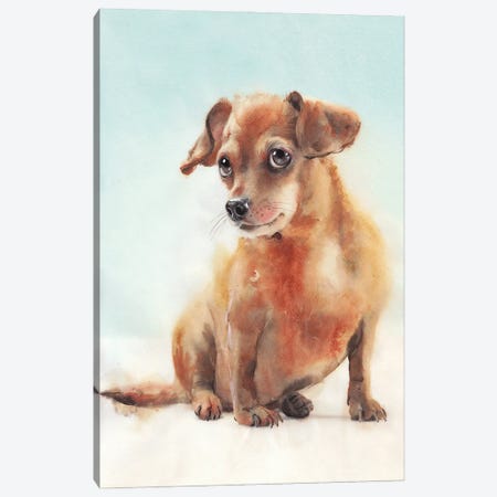 Dog I Canvas Print #RJR80} by REME Jr Canvas Print