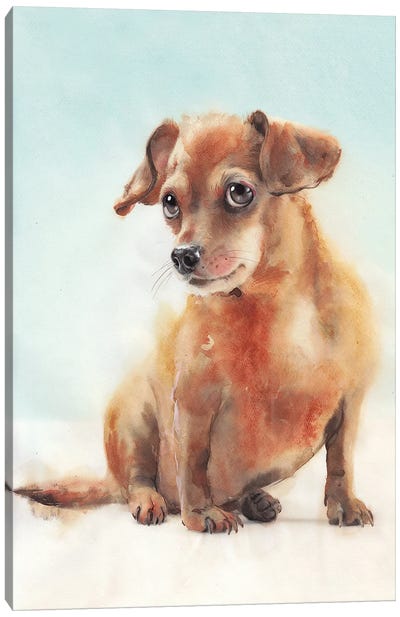 Dog I Canvas Art Print - REME Jr