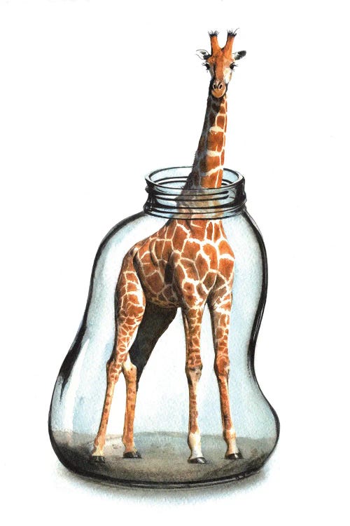 Giraffe In Jar VII