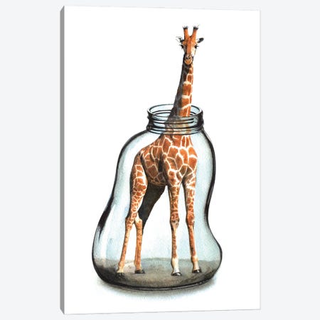 Giraffe In Jar VII Canvas Print #RJR82} by REME Jr Art Print