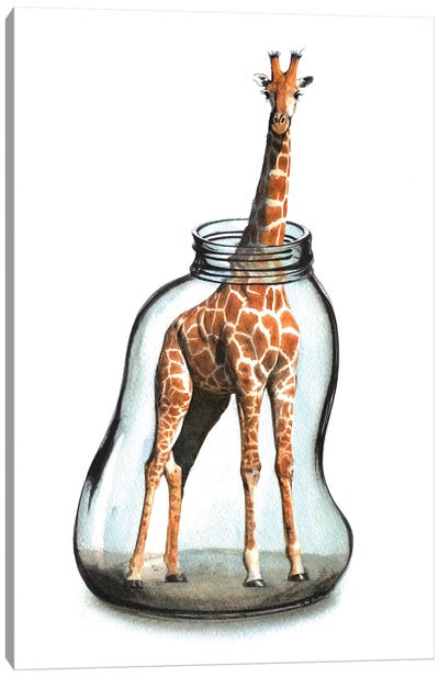 Giraffe In Jar VII Canvas Art Print - Unlikely Friends