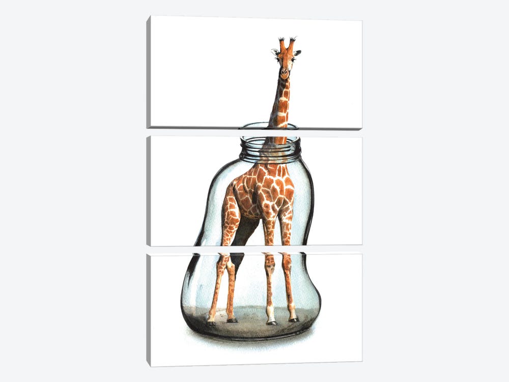Giraffe In Jar VII by REME Jr 3-piece Canvas Wall Art