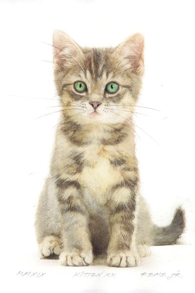 Kitten XX Canvas Art Print by REME Jr iCanvas