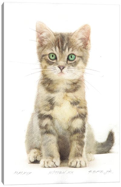 Kitten XX Canvas Art Print - REME Jr