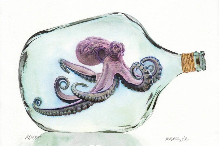 Octopus In Bottle I