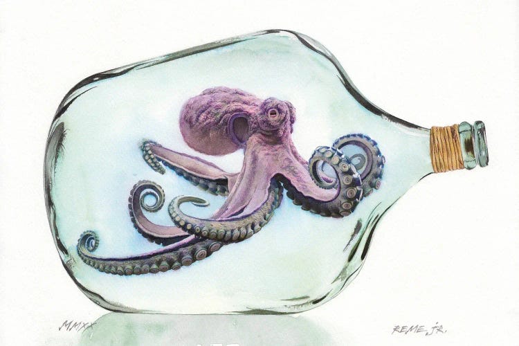 Octopus In Bottle I by REME Jr wall art