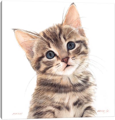 Kitten XXXV Canvas Art Print - Tabby Cat Art