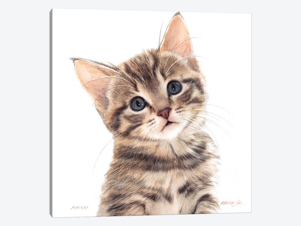 Kitten XXXV by REME Jr 1-piece Canvas Print