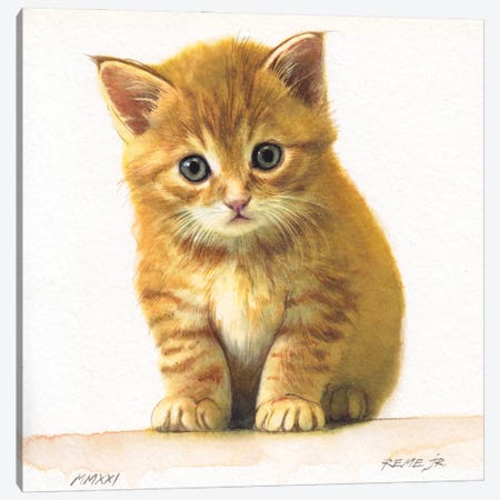 Kitten XXXIV Canvas Print #RJR91} by REME Jr Canvas Artwork