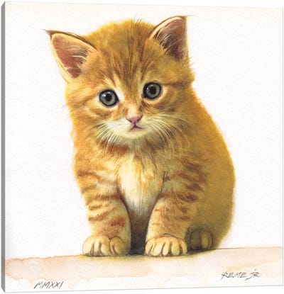 Kitten XXXIV Canvas Art Print - Orange Cat Art