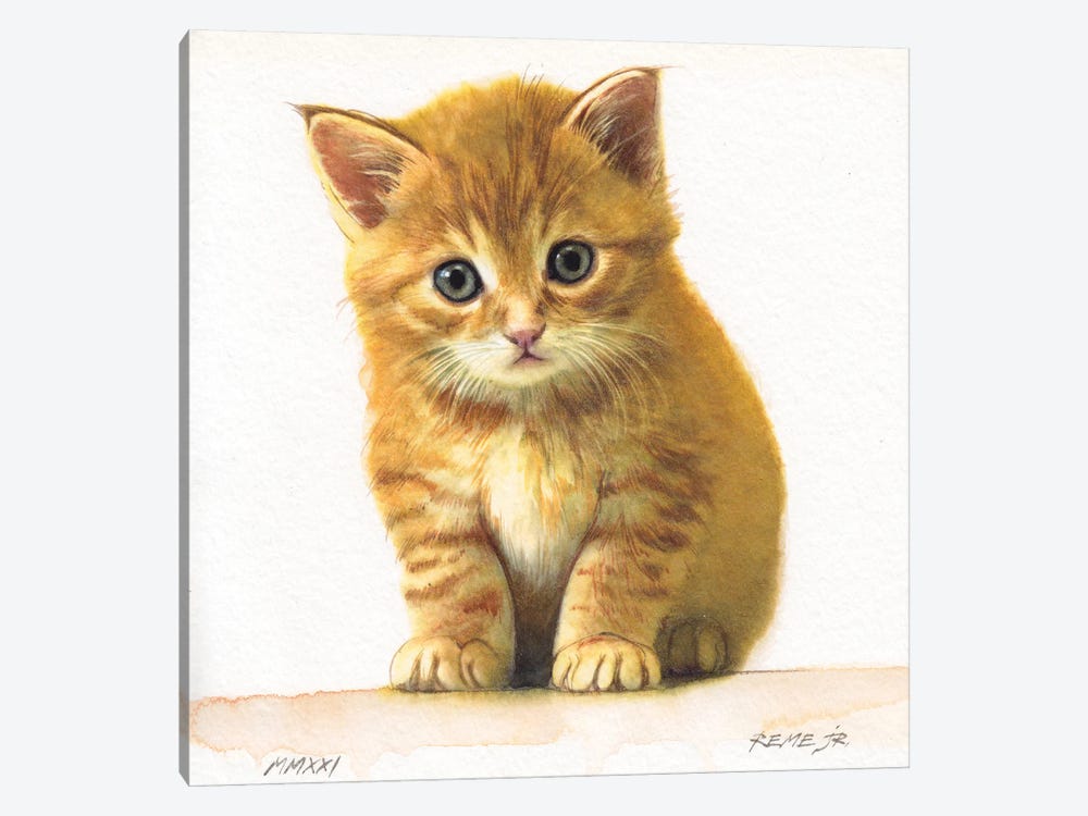 Kitten XXXIV by REME Jr 1-piece Canvas Wall Art