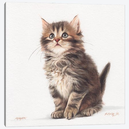 Kitten XXXII Canvas Print #RJR92} by REME Jr Canvas Art