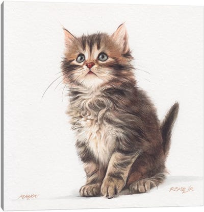 Kitten XXXII Canvas Art Print - Tabby Cat Art