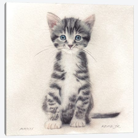 Kitten XXXI Canvas Print #RJR93} by REME Jr Canvas Artwork