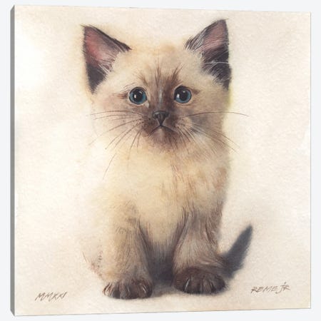Kitten XXXIII Canvas Print #RJR94} by REME Jr Canvas Print
