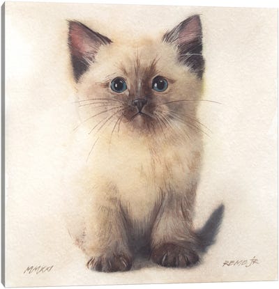 Kitten XXXIII Canvas Art Print - Kitten Art