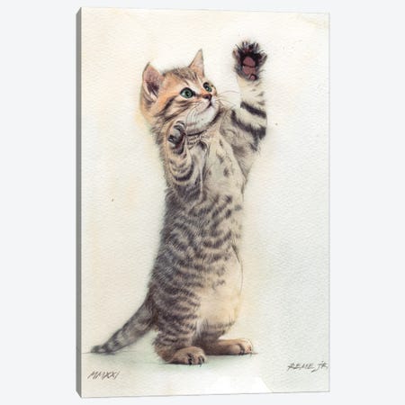 Kitten XXXVI Canvas Print #RJR95} by REME Jr Canvas Art Print
