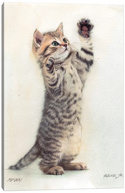 Kitten XXXVI Canvas Art Print - Tabby Cat Art
