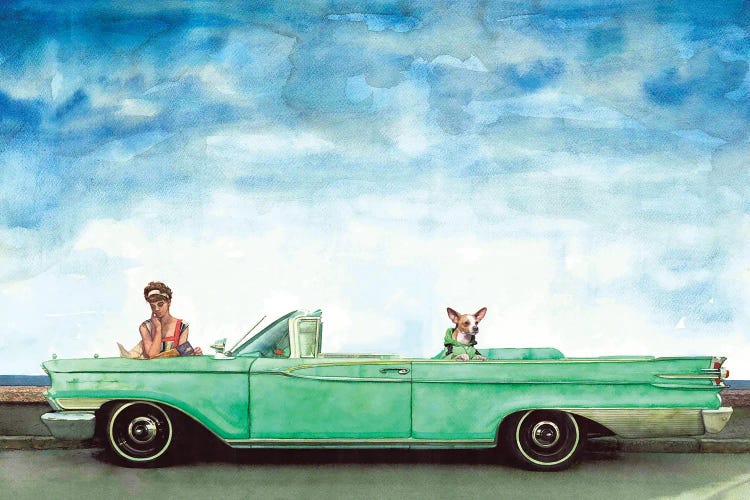 Retro Car Ford Sedan Mercury 1955 With Girl And Dog by REME Jr wall art