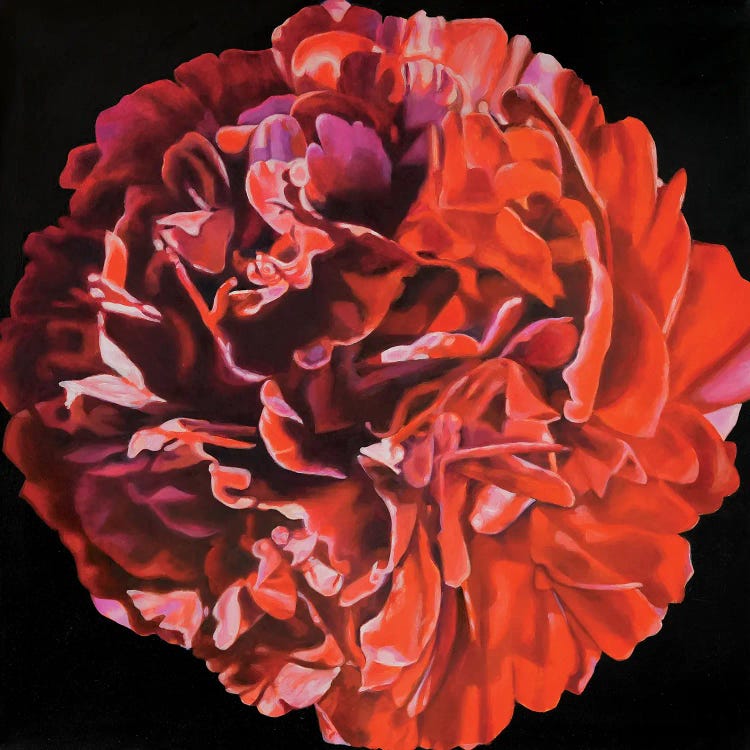 Red Peony