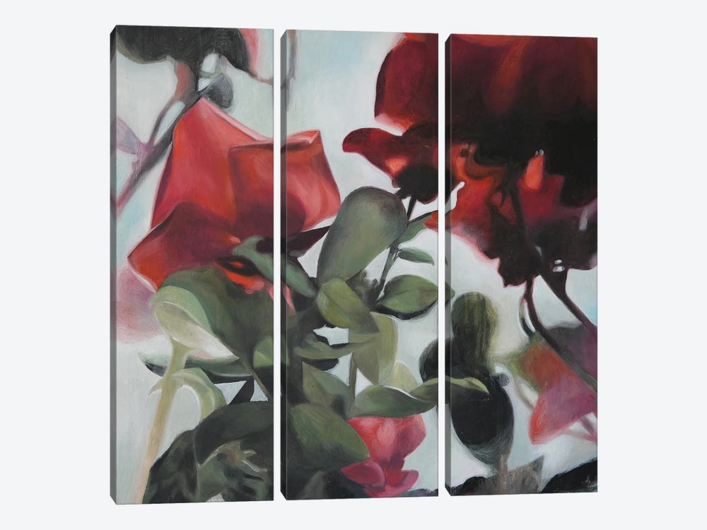 Rosen by Richard Jurtitsch 3-piece Canvas Print