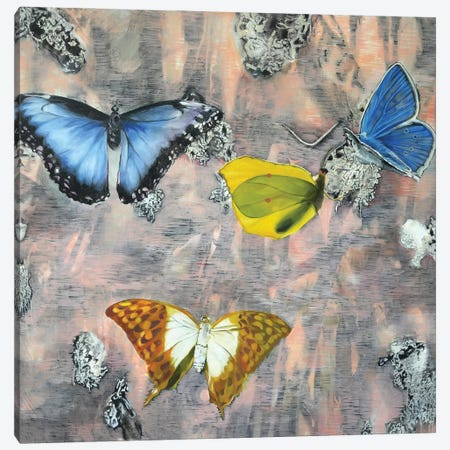 Butterfly I Canvas Print #RJT13} by Richard Jurtitsch Canvas Art