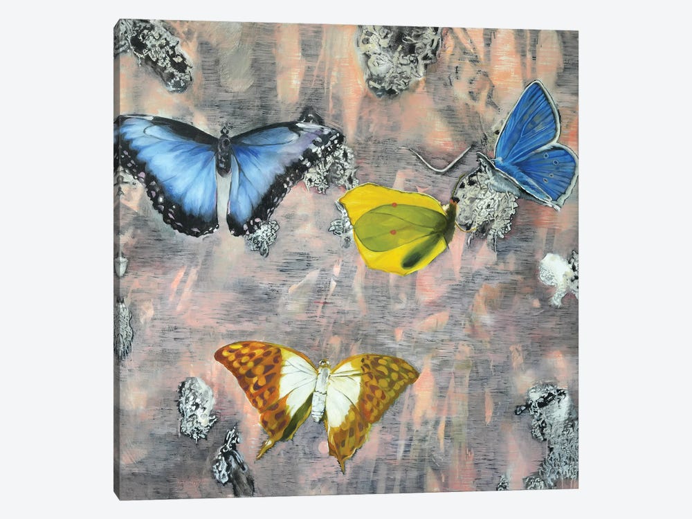 Butterfly I by Richard Jurtitsch 1-piece Canvas Art