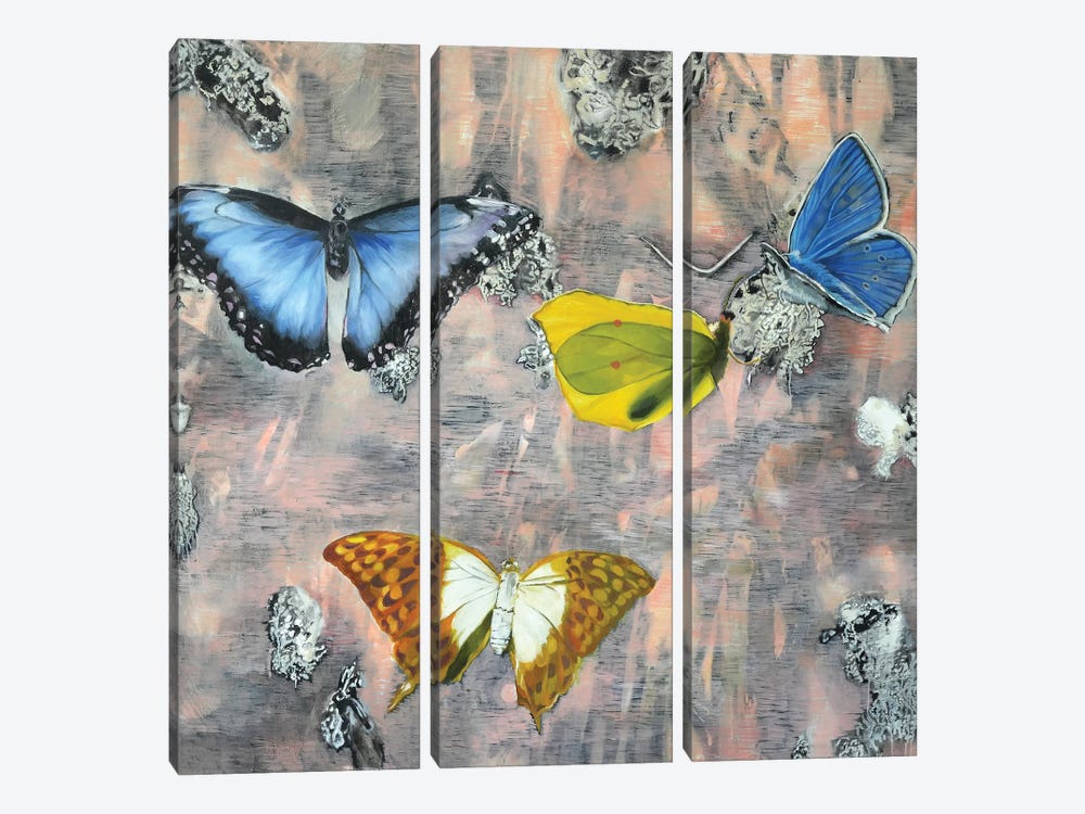 Butterfly I by Richard Jurtitsch 3-piece Canvas Wall Art
