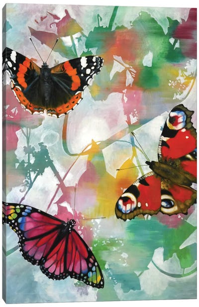 Butterfly II Canvas Art Print - Richard Jurtitsch