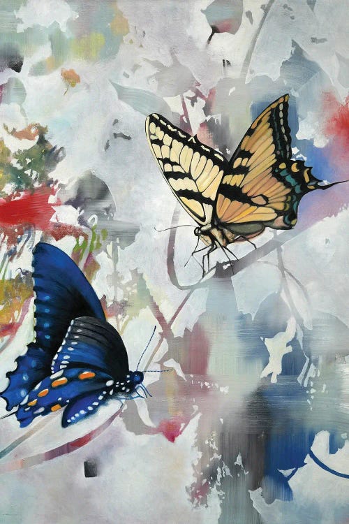 Butterfly III