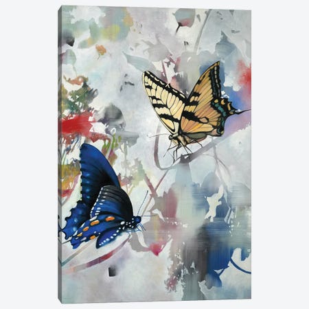 Butterfly III Canvas Print #RJT15} by Richard Jurtitsch Art Print