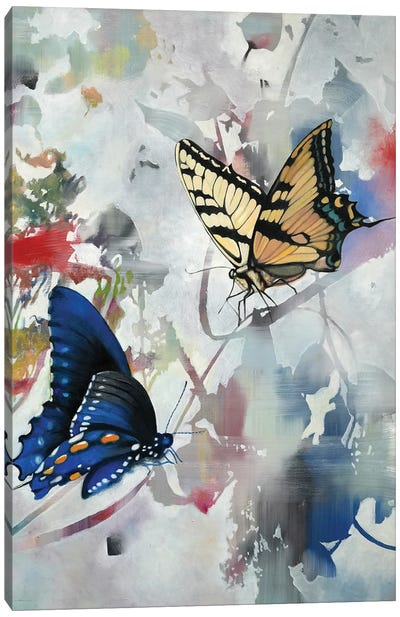 Butterfly III Canvas Art Print - Richard Jurtitsch