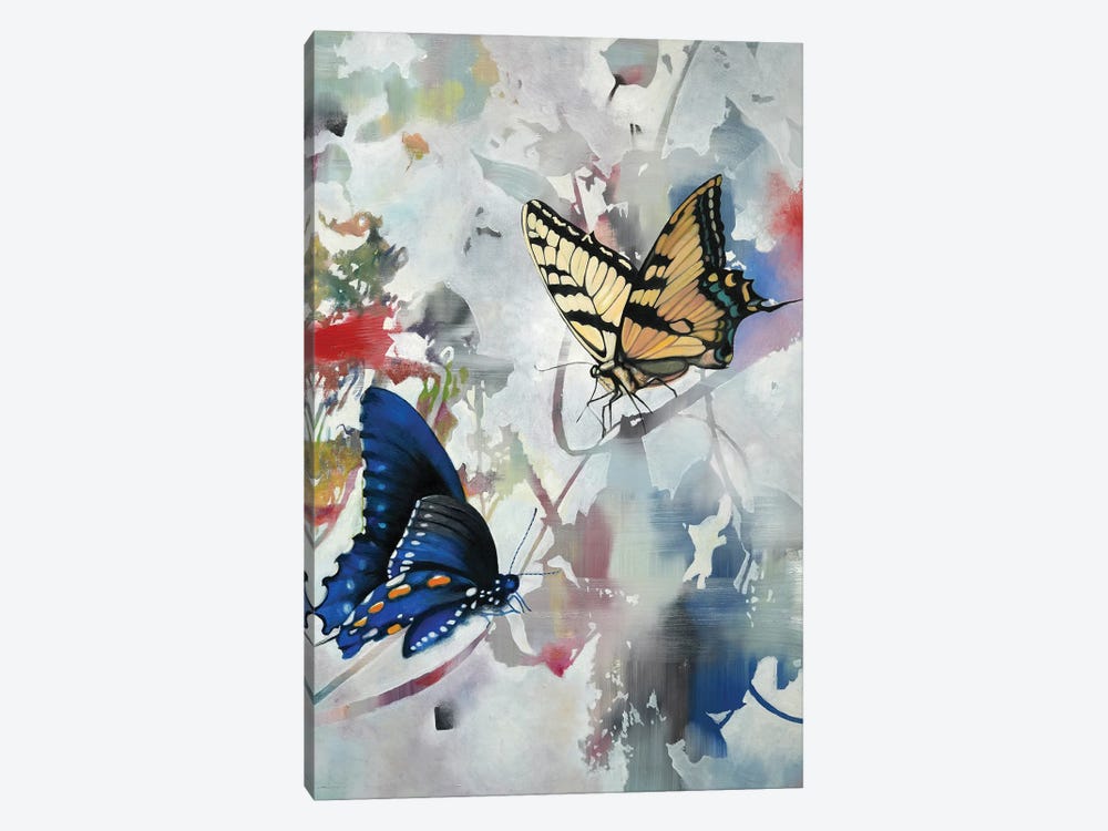 Butterfly III by Richard Jurtitsch 1-piece Canvas Wall Art