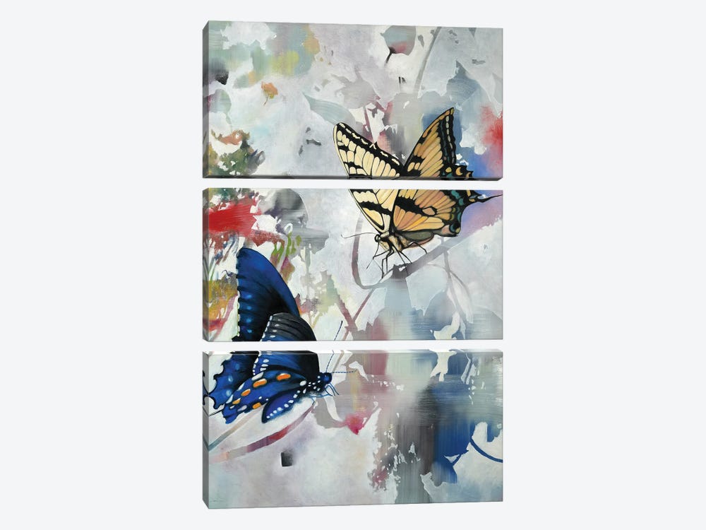 Butterfly III by Richard Jurtitsch 3-piece Canvas Artwork